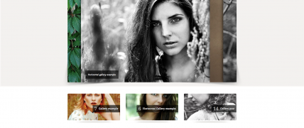 25 Best WordPress Photography Themes