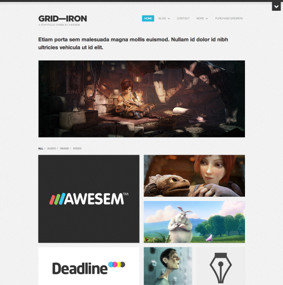 chameleon wordpress portfolio theme free